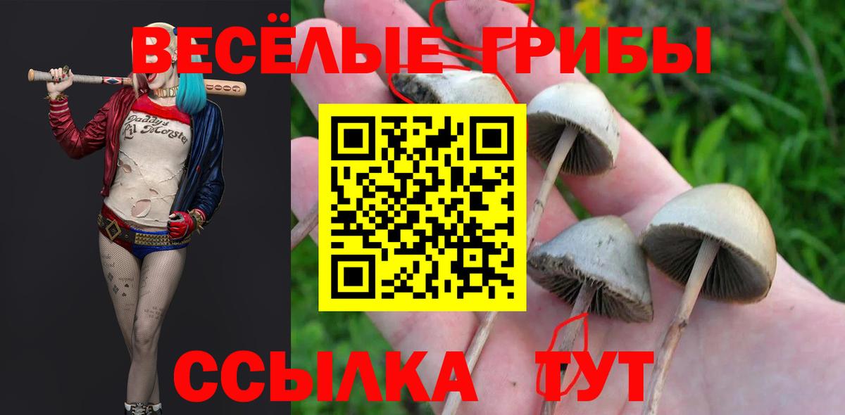 Галлюциногенные грибы Cubensis  Вход с VPN  Артёмовский 